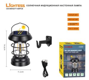 Solnechnaya indukcionnaya nastennaya lampa LIGHTESS CB-809
