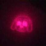 Fonarik-lazernaya ukazka-brelok 805-5 LED(4 vstroennye nasadki) 12